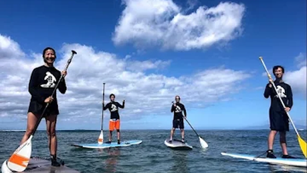 blue bowl of black bean beef tortilla soup on a board with cilantro and shredded cheese in background