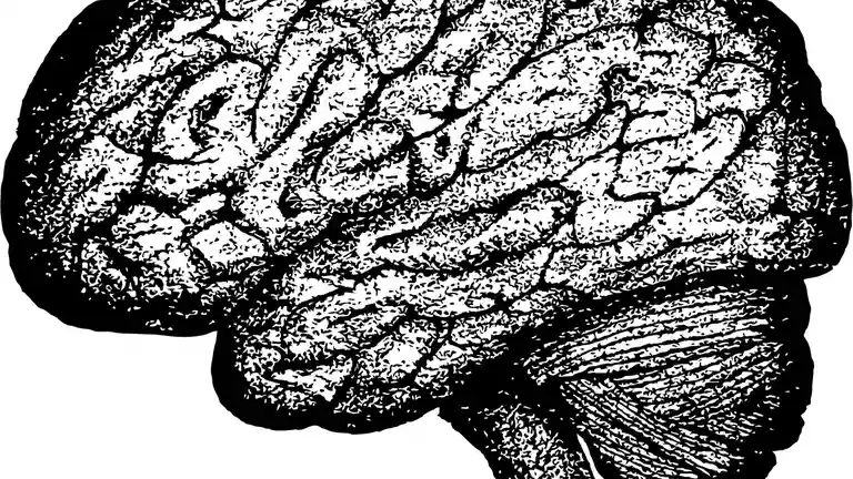 Close up on a plate of mashed potatoes, topped with baked pork chops with cream of mushroom soup, and a side of green beans.